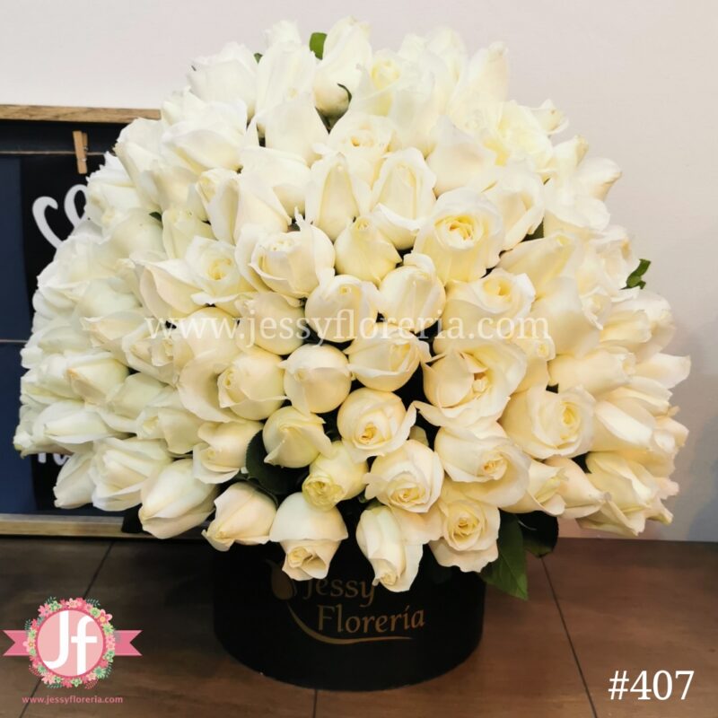 Caja circular 100 rosas Blancas – Jessy Floreria