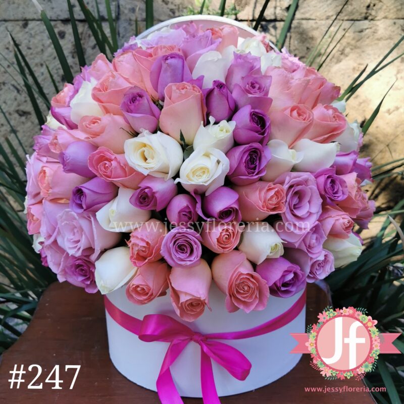 Caja circular 100 rosas rositas – Jessy Floreria