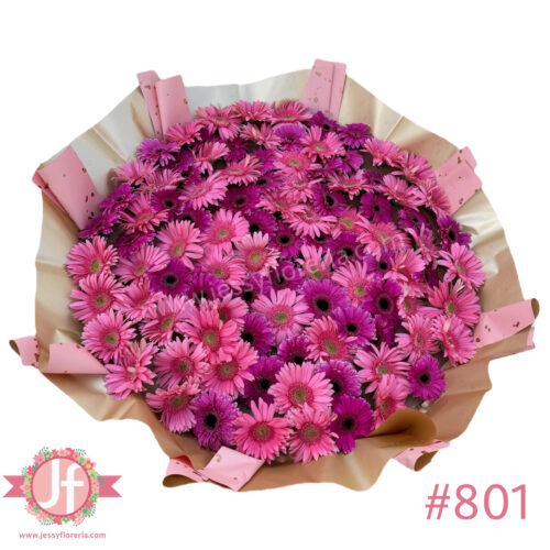 801-maxiramo-100-gerberas-rosa-y-fucsia