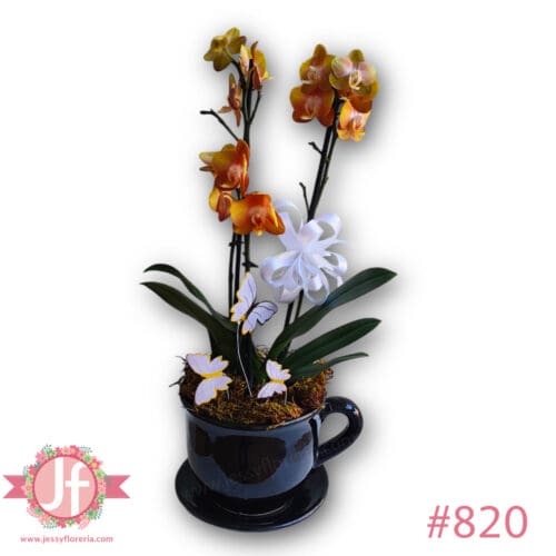 820-taza-chica-con-planta-de-orquidea